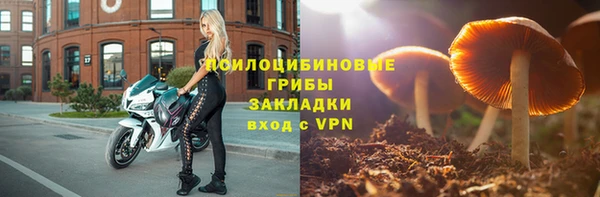 СК Алзамай