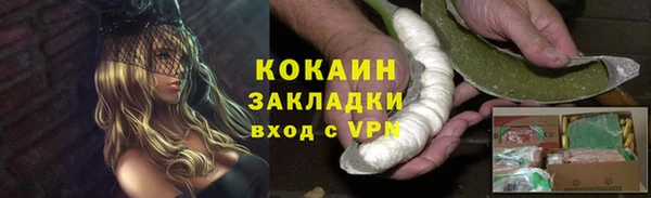 индика Алексеевка