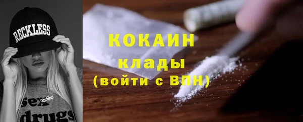 ГАЛЛЮЦИНОГЕННЫЕ ГРИБЫ Абаза